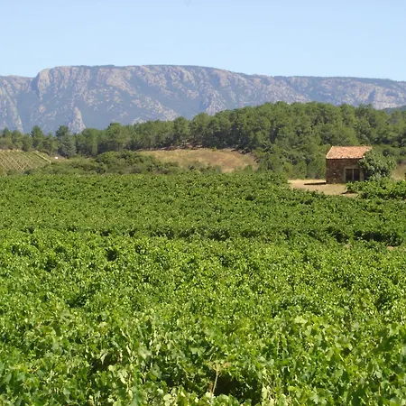 Tranquil Vineyard Villa, Berlou, Cleaning Included Vila Berlou